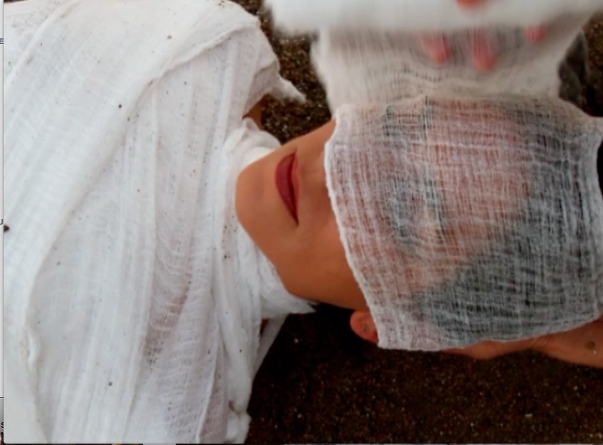 Still from video Sea of Death 2010