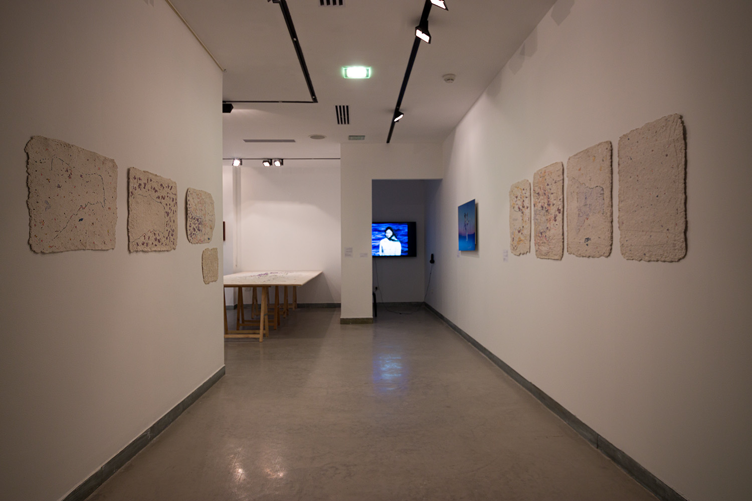 Wounded Land at the Art Cube Artists’ Studio, photo Udi Katzman Ariane_Sadnaot_003