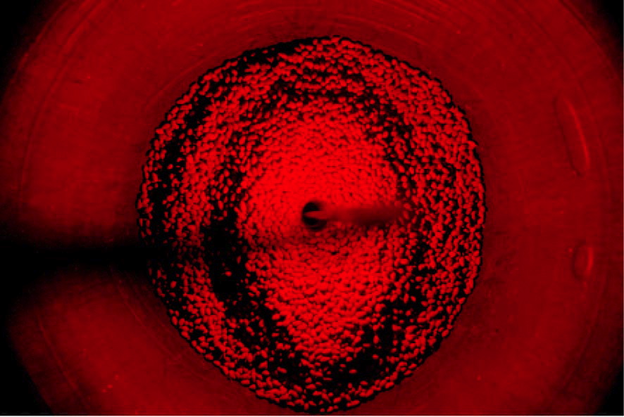 Core, photographs on Plexiglas, 60 x 90 cm
Core