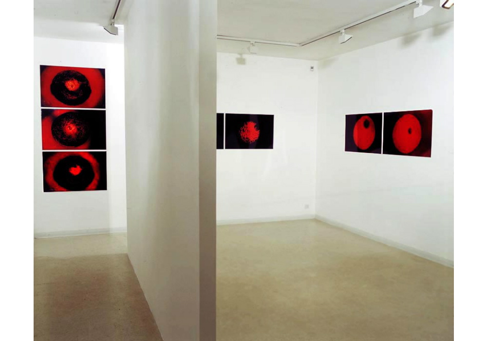 Photo installation at the Noga Art Gallery, Tel Aviv,
plaster walls & 70 photographs on Plexiglas
Core 001