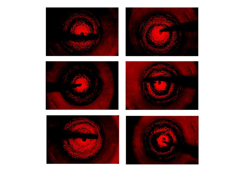 Core 005