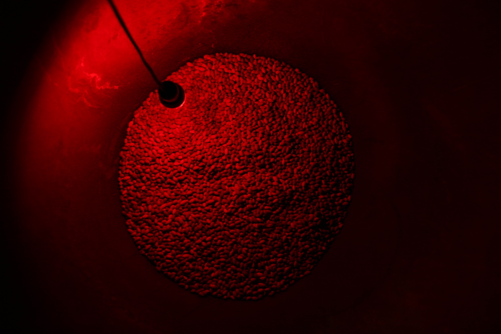 Olive pits inside the barrels Correspondence 004