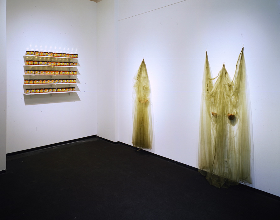 Gowns (1998), green mosquito nets and olive pits
Variable dimensions Correspondence 005