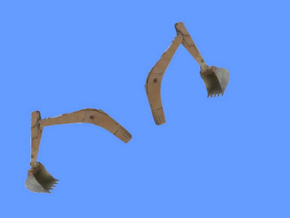 Crane's Dance, Kfar Darom, 30.08.05 Donald Duck 009