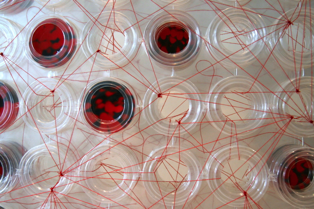 Hidden Maps (2000-2001), series of 7 plastic sheets, photographs and
red thread, 54 x 76 cm (each)
Hidden Maps 017