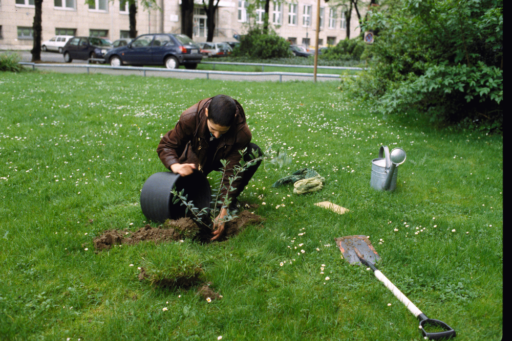 Planting an olive tree from the Holy Land near one of the Hommage to Joseph Beuys 1998
