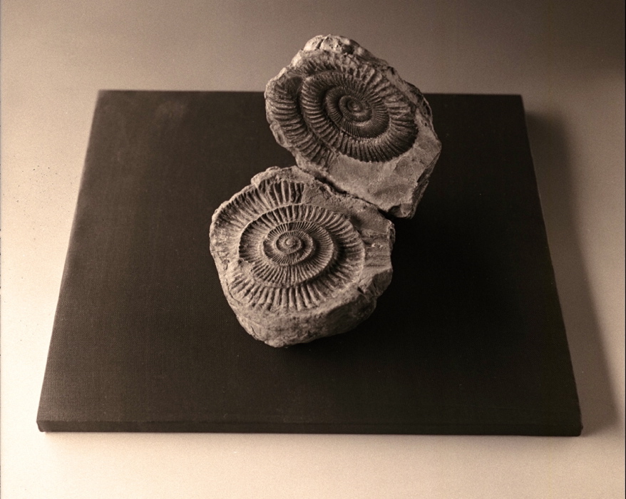 Invitation to a Voyage 008
