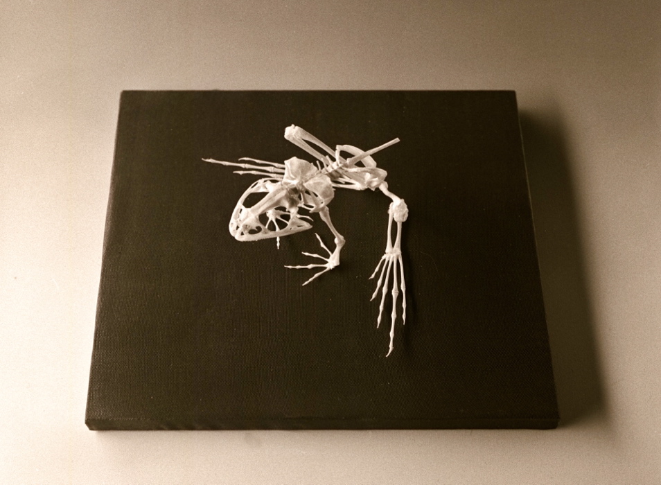 Invitation to a Voyage 009