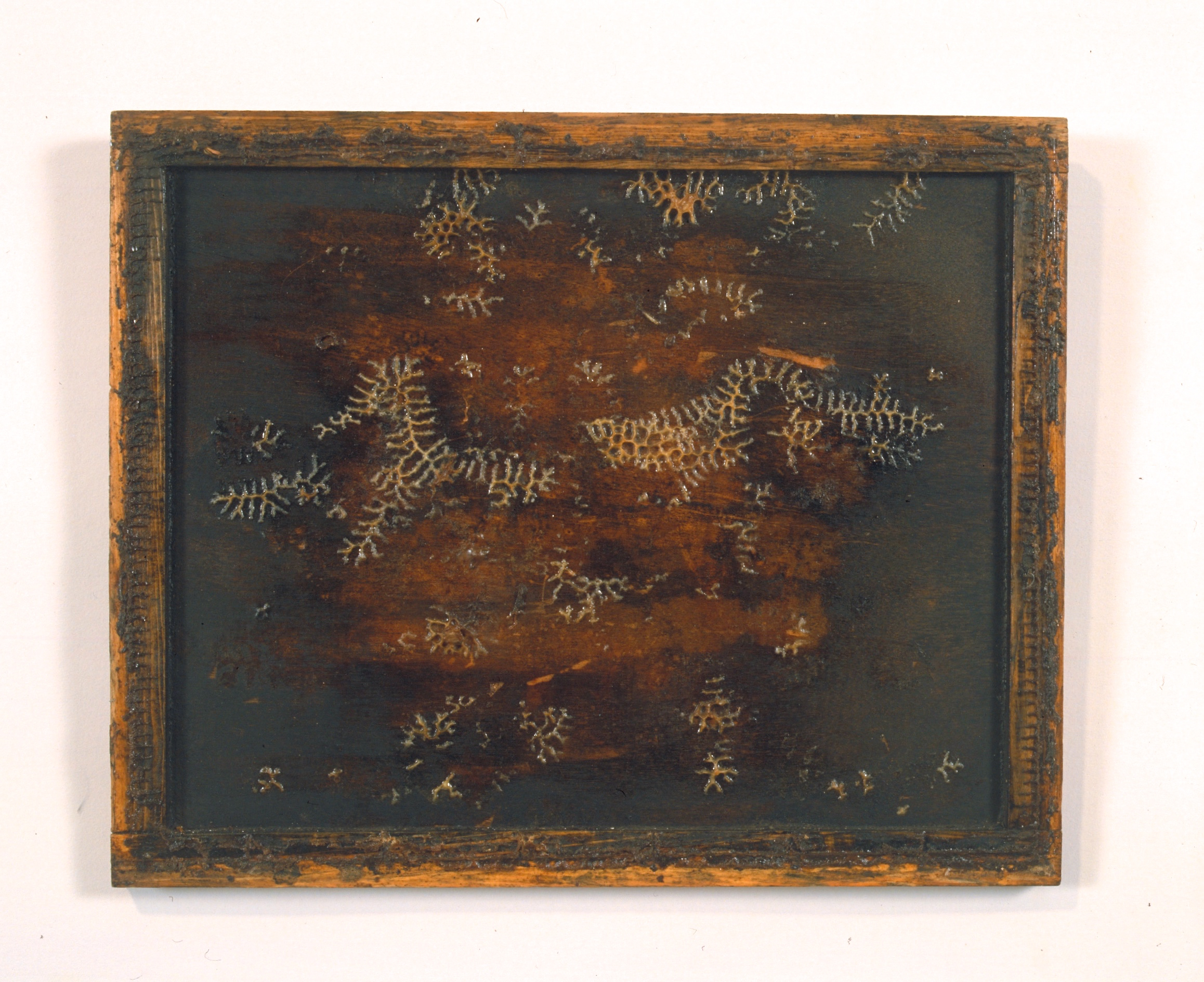 Marks 1995, ready made of beehives internal lids, wood and bee wax, 41 x 50 cm
Marks 1995 01
