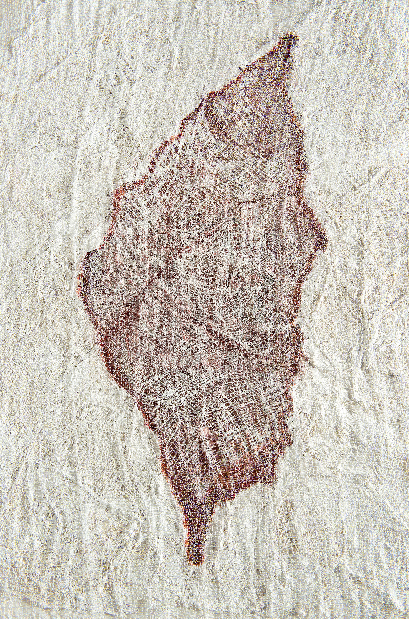 Masada 2021 02