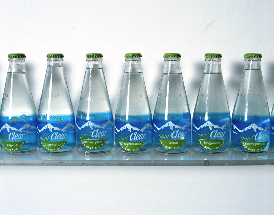 'Transparent Landscapes' (1994),100 bottles of Schweppes Clear Lemon,
Glass, Plexiglas, plastic labels and letters, 16.5 x 6 x 6 (each), photo: Oded Antman
Meta Sex 02