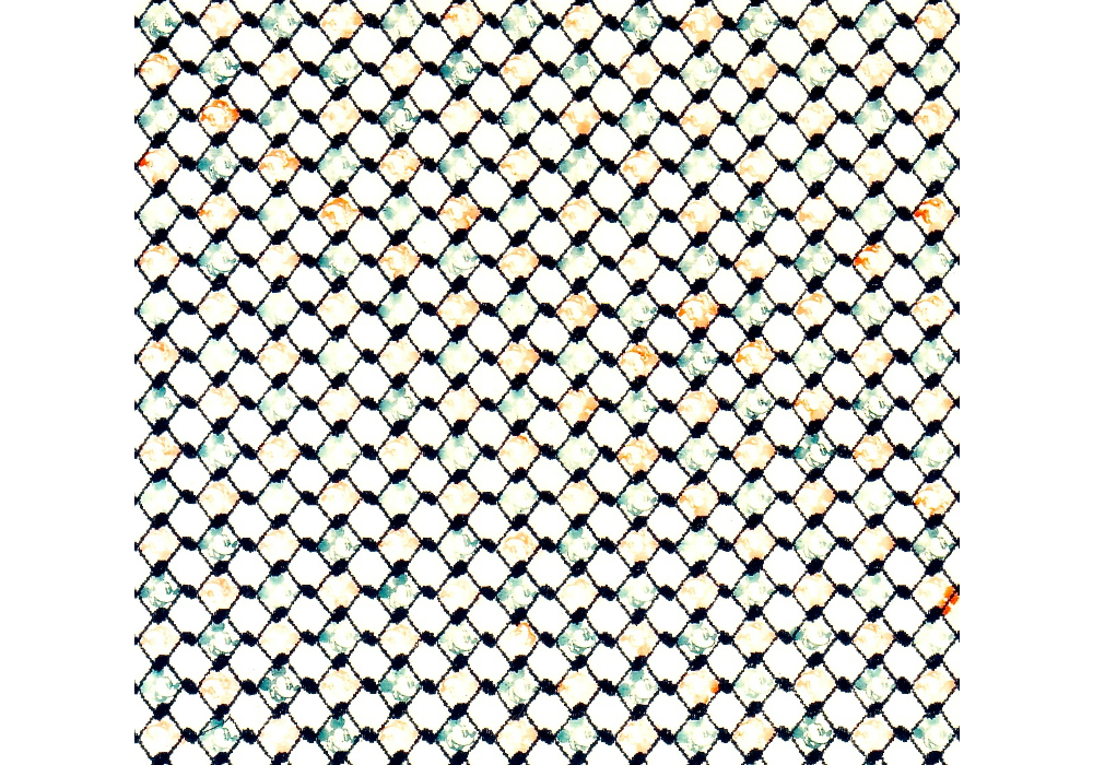 Mickey's Keffiye (1992), 198 Green and Red Mickey Mouses stamped on a Keffiye, cotton, 110x110 cm, collection, Jerome Stern, New York
Michey’s Keffiyeh 02