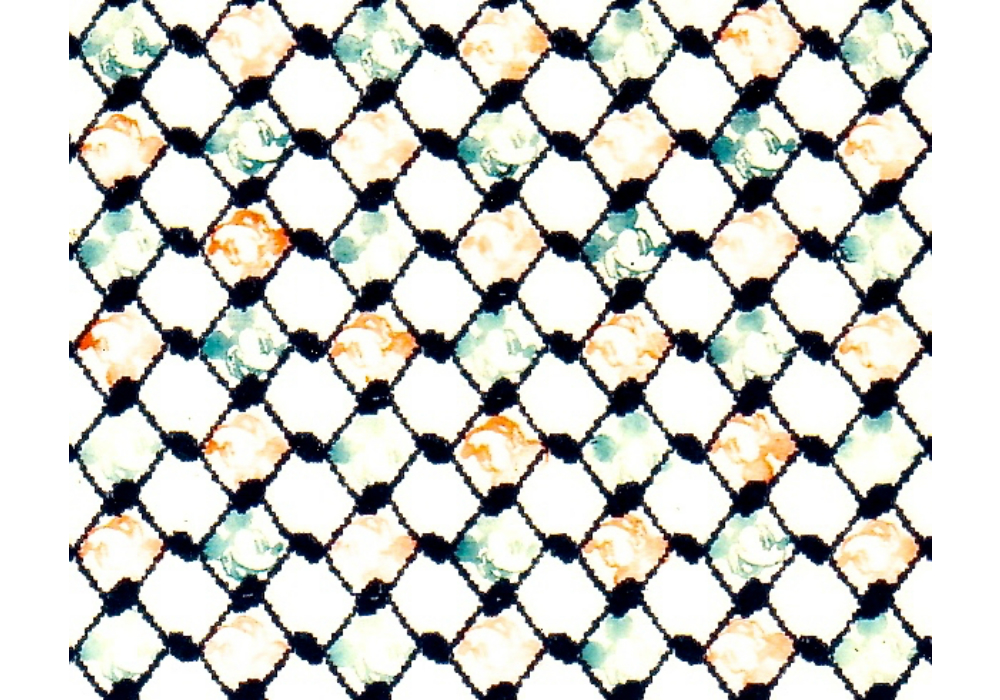 Mickey’s Keffiyeh 03