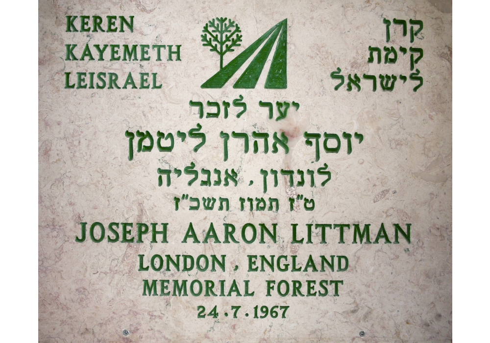 4th replica of the JNFMemorial stone from the Grand Father's Forest,
50 x 60cm, in collaboration with the Jewish National Fund (JNF), photo: Ariane Littman
Mobile Forests 001