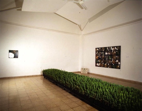 White Land, installation in the exhibition, Liminal at the Ein Harod Museum 2001 Mobile Forests 011