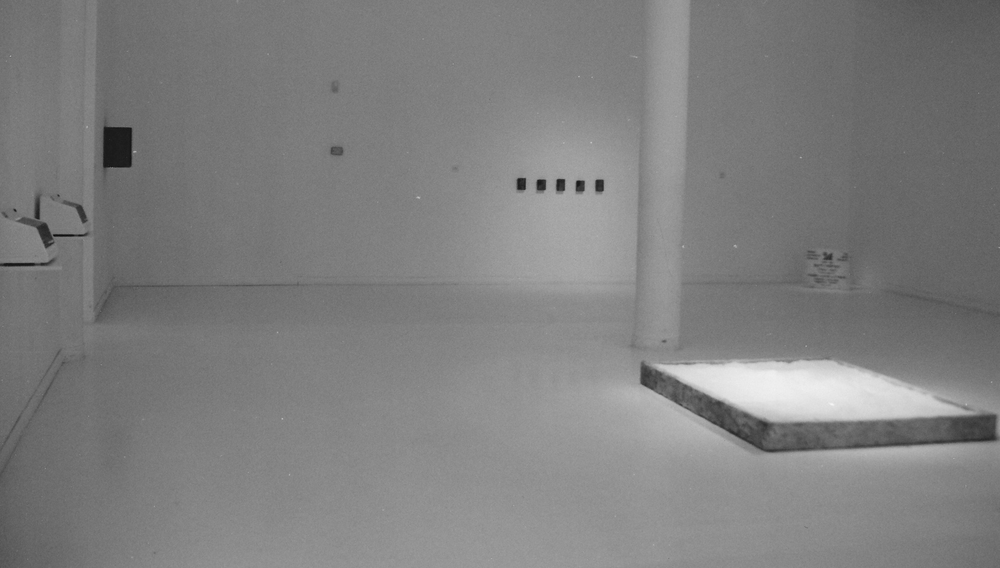 4th replica exhibited in the group show, Out of Senses at the Museum of Contemporary Art in Antwerp, 1997 Mobile Forests 011