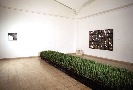 Mobile forest of pine trees and White Land for the show 'Liminal Mobile Forests 015