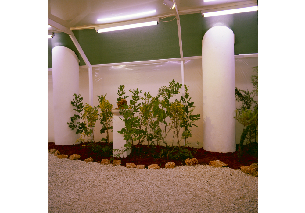 Nature Morte 009