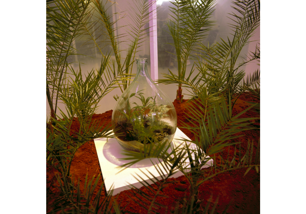 Nature Morte 010