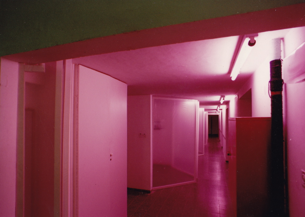 Niches (1991), installation, objects, wood, polyethylene plastic sheets, pink fluorescents Niches 001