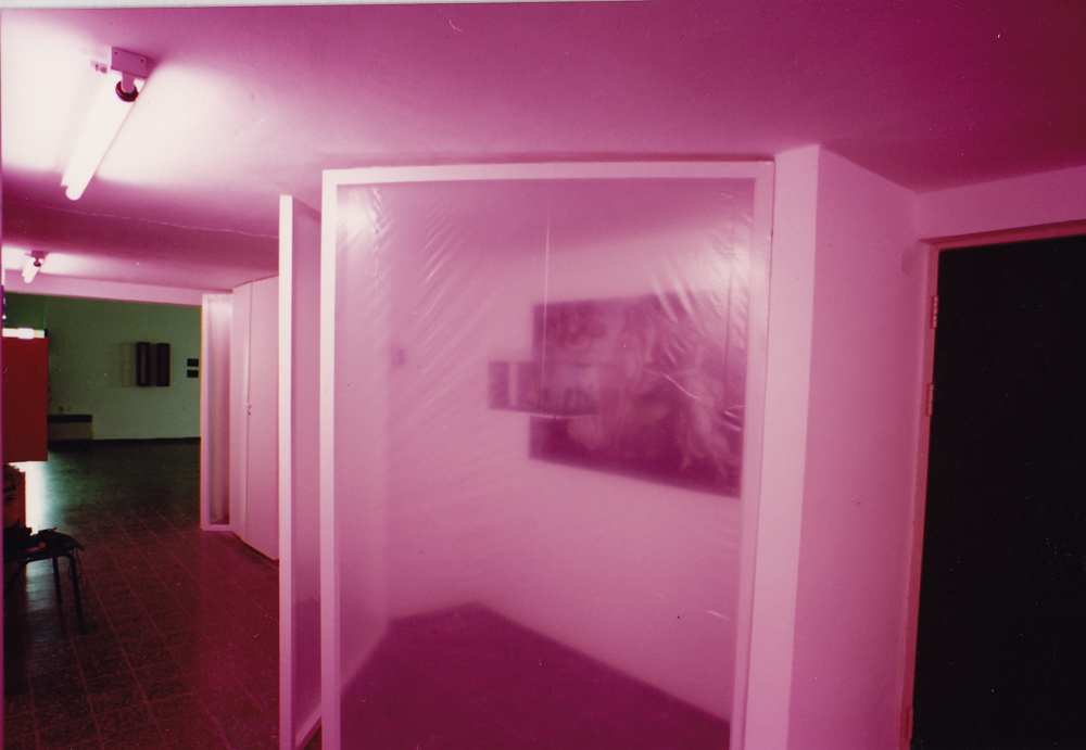 Niche no.2 with enlarged colored reproduction of Botticeli's Venus (87x139) suspended aquarium, air-pompe mermaid, wall paper, (214 x 237 x 70) Niches 002