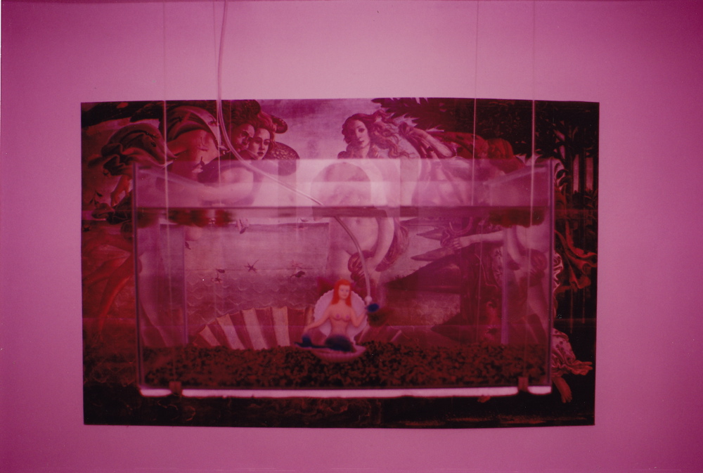 Detail of niche no. 2 with colored reproduction of Botticeli's Venus (87x139) suspended aquarium, air-pompe mermaid Niches 006
