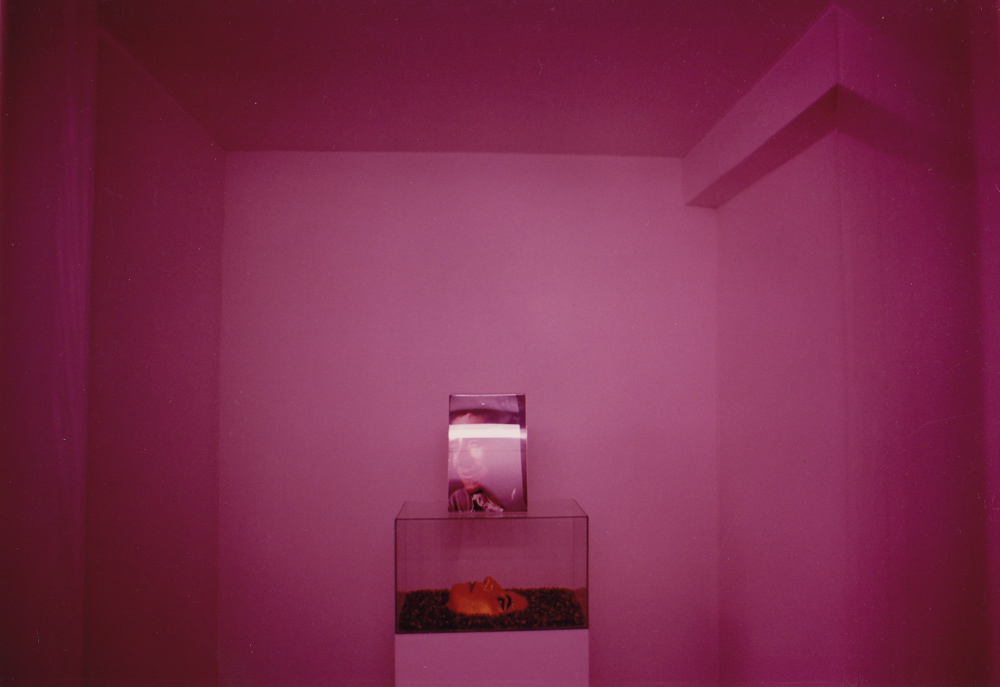 Detail of artist's death mask, aquarium and photograph. Niches 008