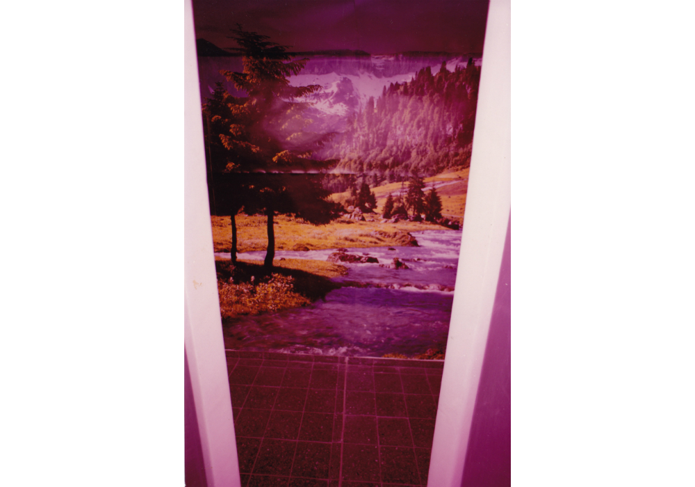 Detail of Niche no: 3 with two posters of mountain landscape Niches 011