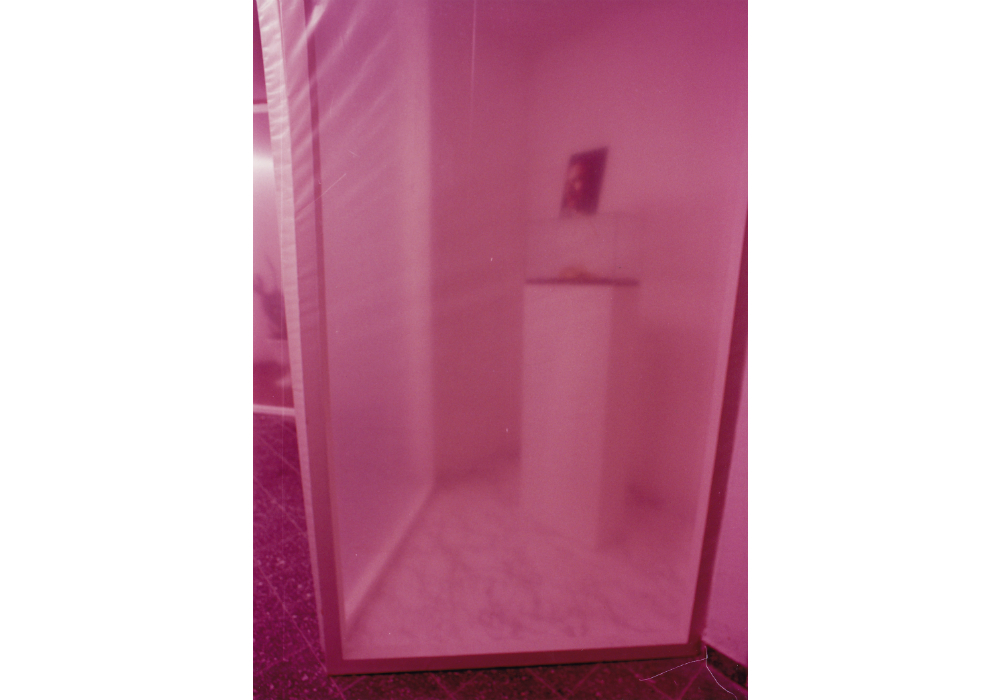 Niche no.5 with the artist's death mask, aquarium, photograph, pedestal, wall-paper.
(214 x 139 x 70cm)
Niches 014