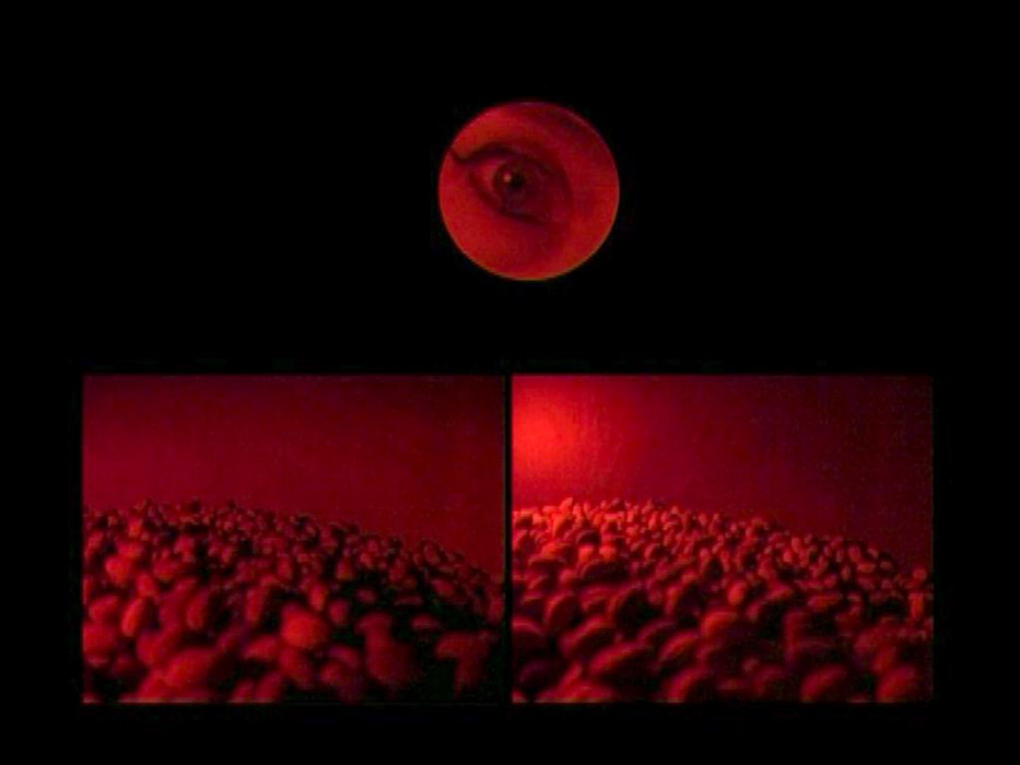 The Gaze (2002), video
Olive Story 04