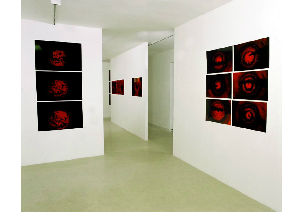 Core (2000), photo installation at the Noga Gallery, Tel Aviv.
Plaster walls & 70 photographs on Plexiglas
Olive story v02