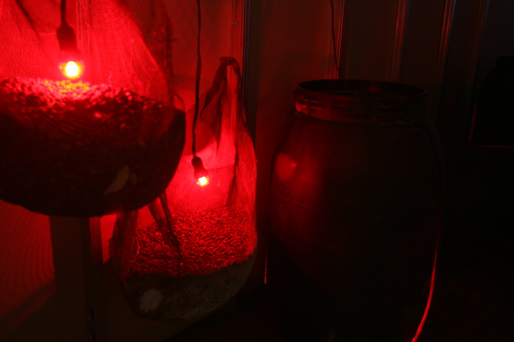 Still Life 006