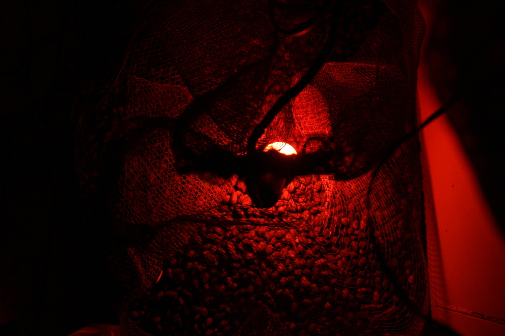 Still Life 007