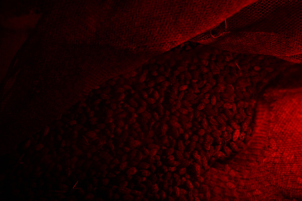 Still Life 008