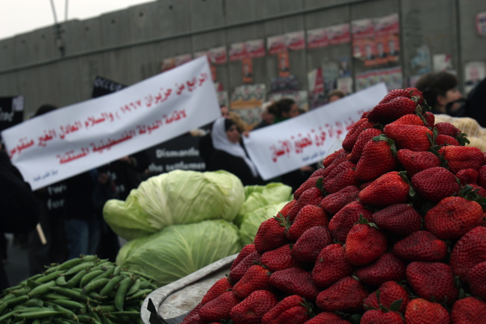 Demonstration of Israeli and Palestinian women against the wall, February 2006 Strawberies, A’ ram Feb 09 06, 06
