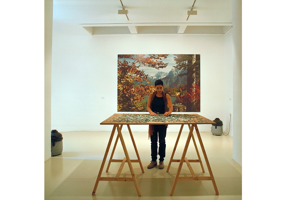 Performing 'Mountain Landscape in Process',
4000 pieces puzzle, (98 x 138 cm)
Sublime 004