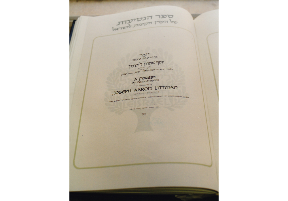 The Joseph Aaron Littman Forest, A forest of 20.000 trees, JNF archives The Forest