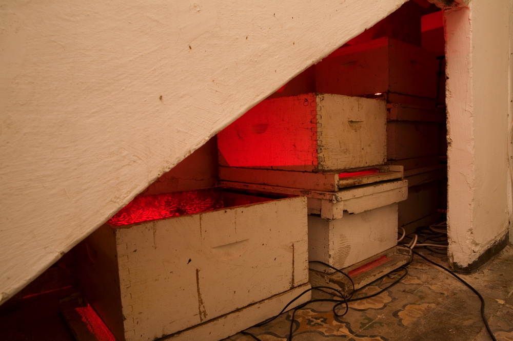 Site Specific Beehives Installation The House 0010