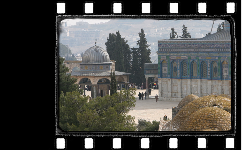 The Jerusalem’s Scrolls 23