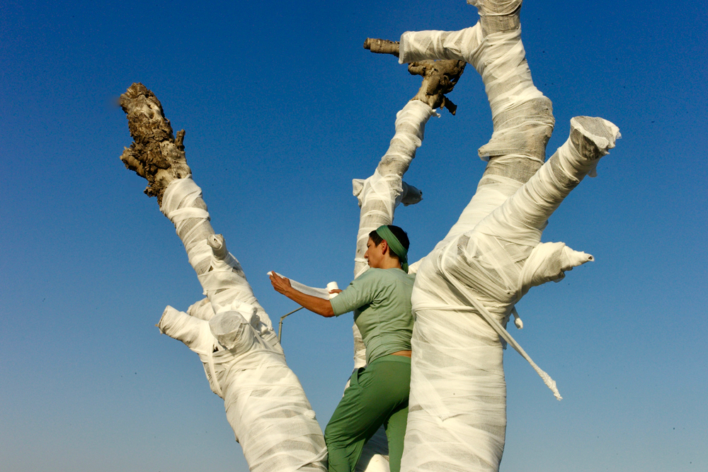 The Olive Tree, 2011, dressing a dead olive tree at at Hizme checkpoint, near Jerusalem, photo Alex Levac ariane_littman_the_olive_tree_2011_01
