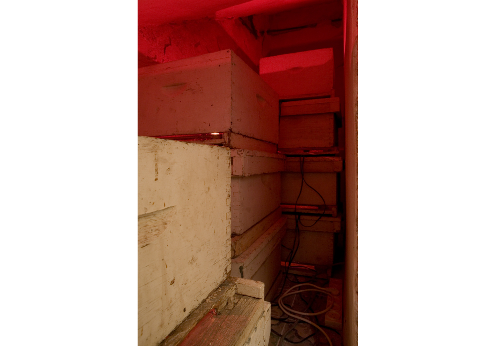 installation under the staircase of ' Virgin of Israel & Her Daughters' (1994), wood, iron, red lights and black electric wires, 30 x 41x 56 cm (each) The house 009