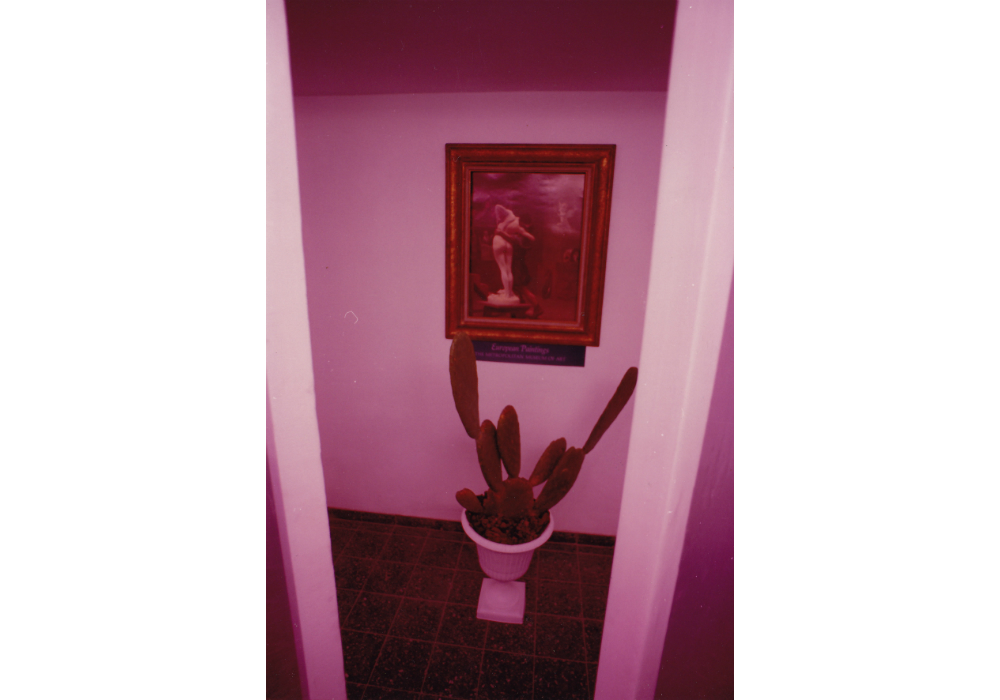Detail of poster of Jerome's 'Pigmalion and Galatea' in a golden wooden frame, cactus, vase
Untitled 013