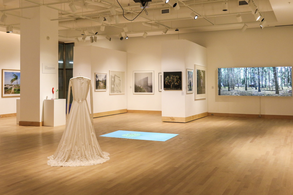 General view at the Center for the Arts Gallery, Towson University, photo, Alec Pugliese Visions of Places TU, 01