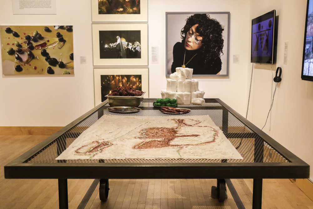 Grafted Land at the Center for the Arts Gallery, Towson University, photo: Alec Pugliese Visions of Places TU, 03
