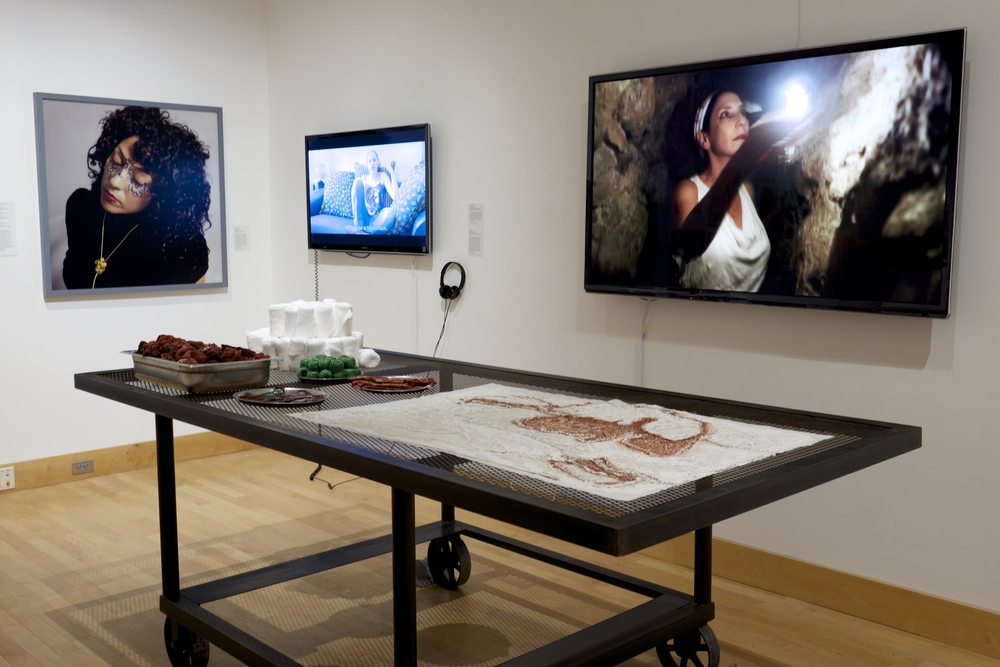 'Grafted Land' with the video 'The Spring' in the background at the Center for the Arts Gallery, Towson University, photo, Lee Boot Visions of Places TU