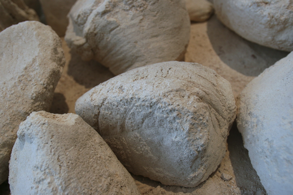 Sand (2004), solidified sand bags Wounded Lands 004cape