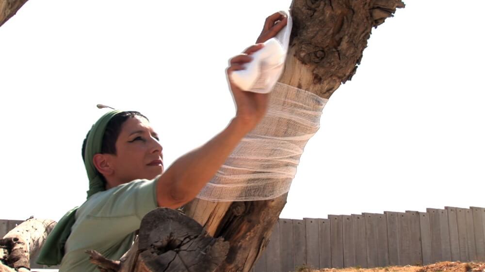 Dressing the dead olive tree at the Hizme checkpoint, performance, still from movie olive tree 002