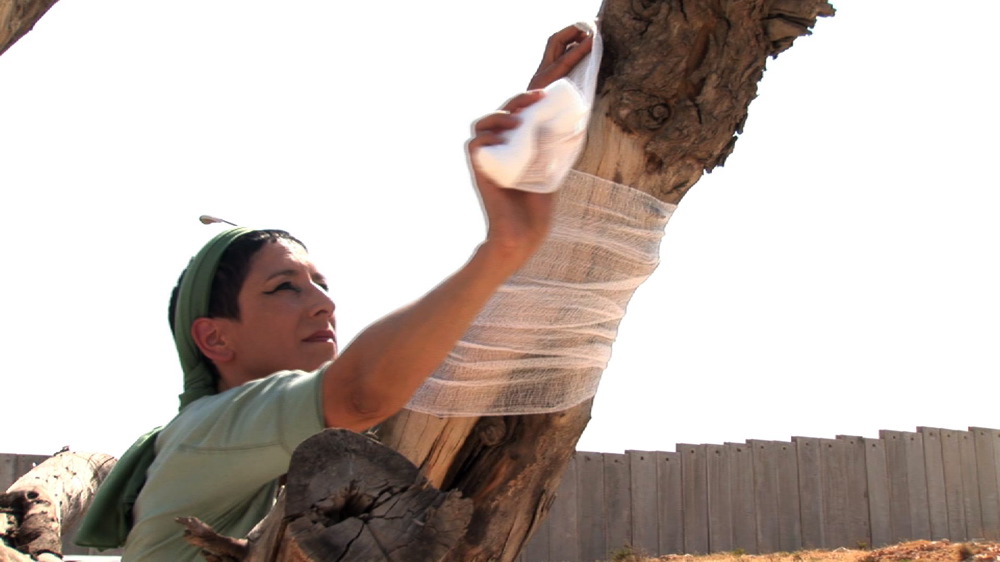 Dressing the tree, in the background the separation wall
Still from video The Olive Tree