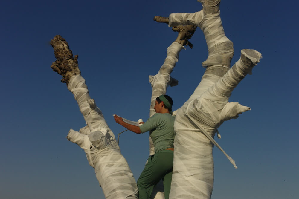 Dressing the dead olive tree at the Hizme checkpoint, performance, , photo Alex Levak olive tree 005