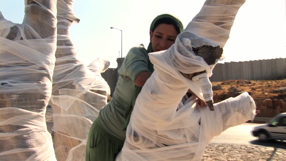 Still from video The Olive Tree